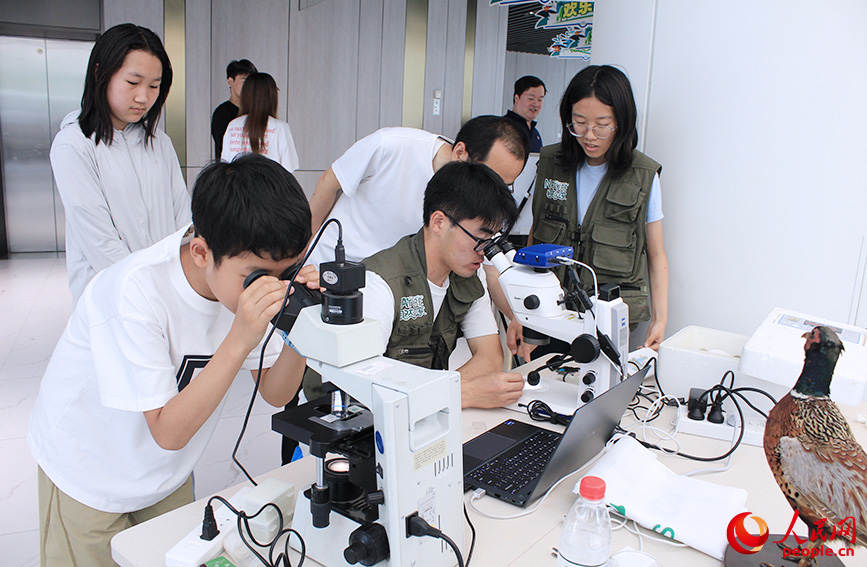 参观者观察动植物标本。人民网记者 张静淇摄 参观者观察动植物标本。人民网记者 张静淇摄